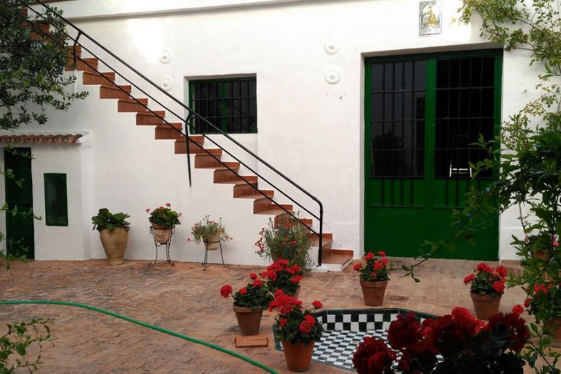 Patio y terrazas