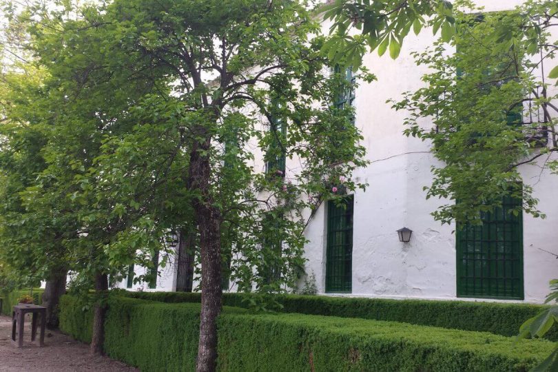 Jardín exterior